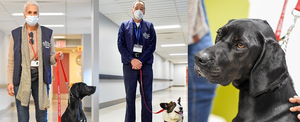 Pet Volunteers at Bergen New Bridge